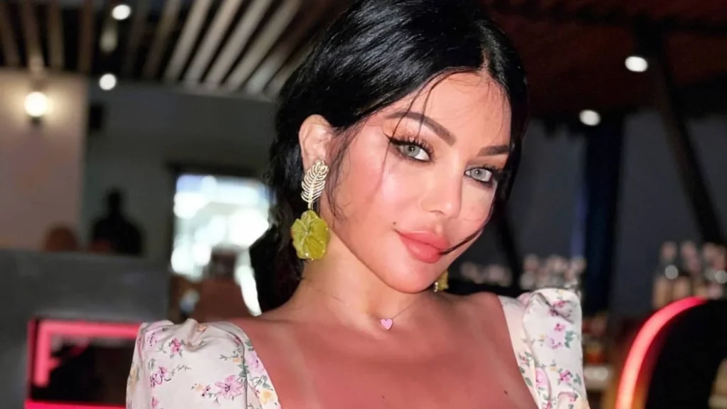 Haifa Wehbe Net Worth