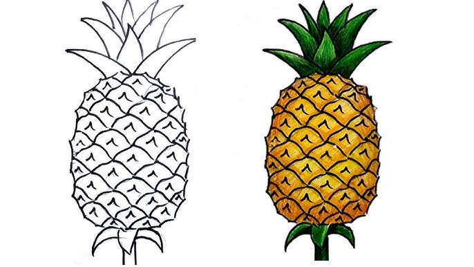 How To Draw A Pineapple How To Draw A Pineapple