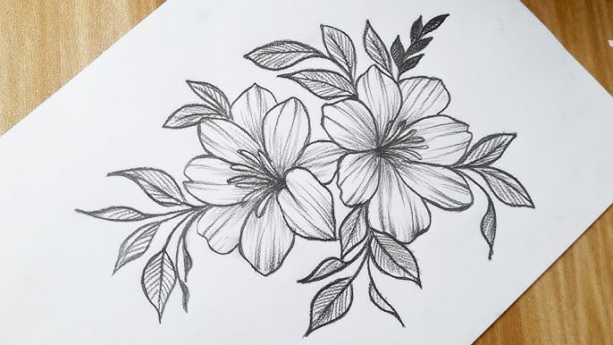 How To Draw A Pretty Flower How To Draw A Pretty Flower