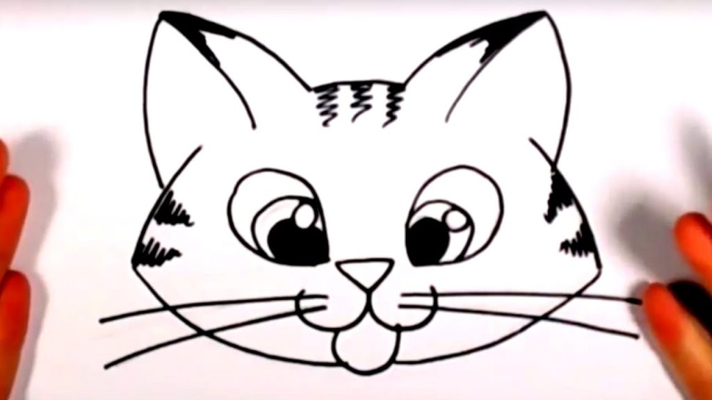 How To Draw A Cat Face How To Draw A Cat Face