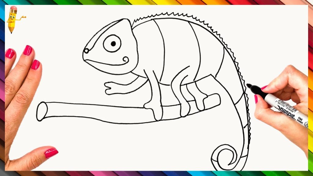 How To Draw A Chameleon How To Draw A Chameleon