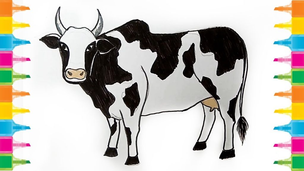 How To Draw A Cow For Kids