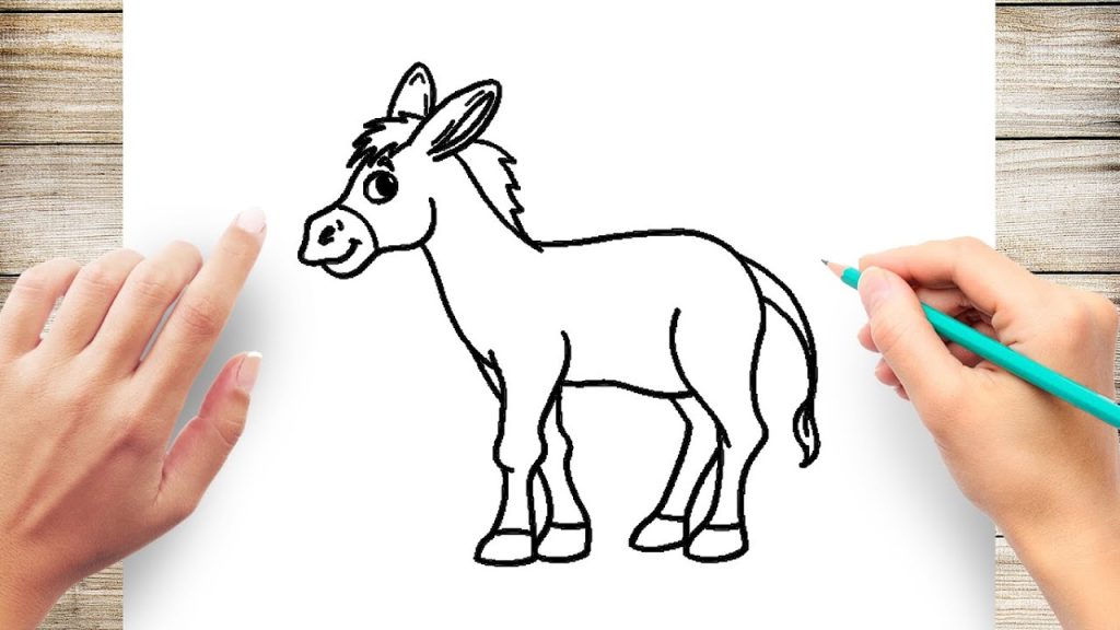 How To Draw A Donkey How To Draw A Donkey