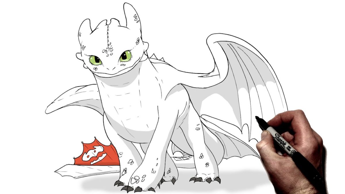 How To Draw Toothless - Kahawatungu