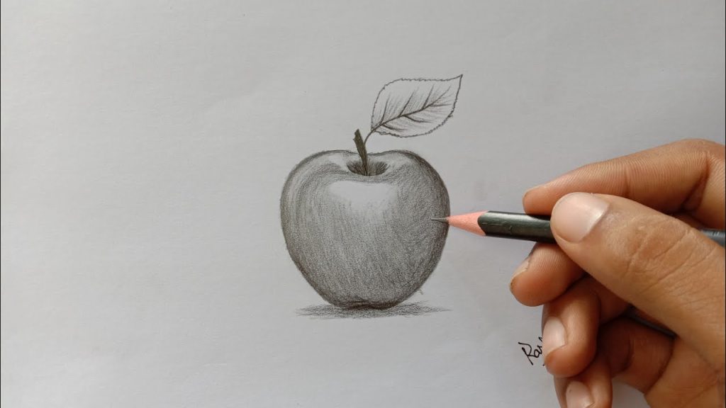 How To Draw An Apple How To Draw An Apple