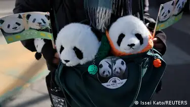 Tearful goodbyes as Japan returns pandas to China amid worsening ties