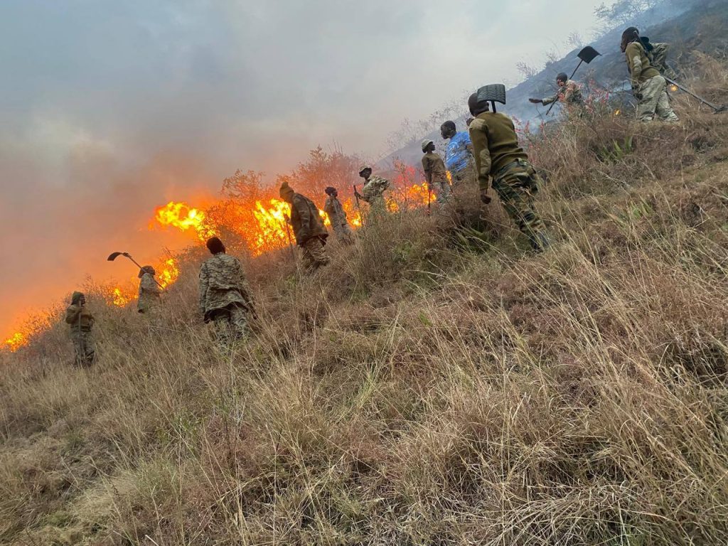 Fire from Lake View Estate Spreads into Lake Nakuru National Park