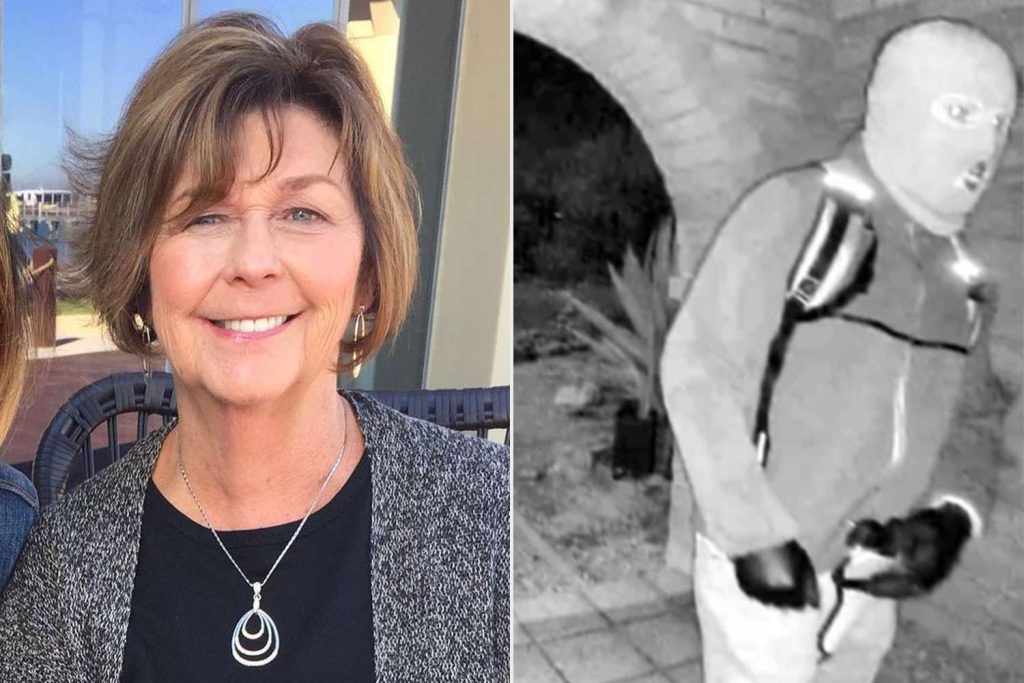 FBI analysing recovered glove that appears to match those worn in Guthrie suspect video