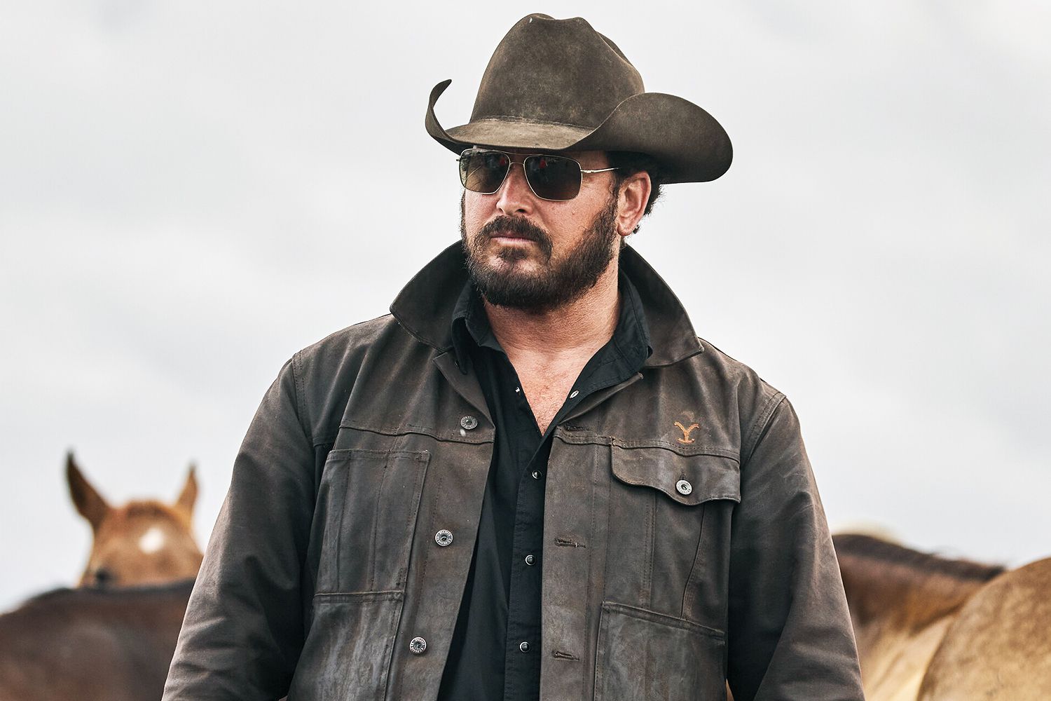 Cole Hauser Net Worth