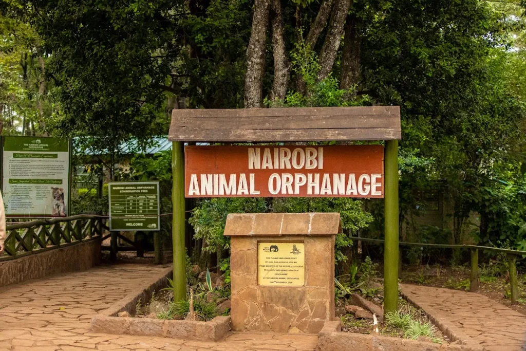KWS dismisses claims over Nairobi Animal Orphanage relocation