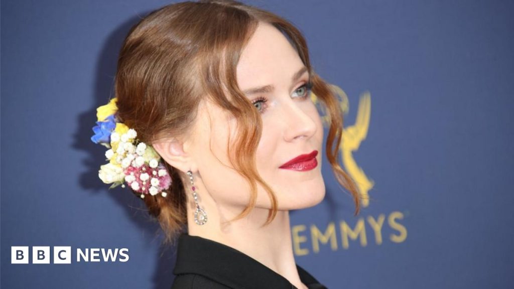 Evan Rachel Wood Net Worth