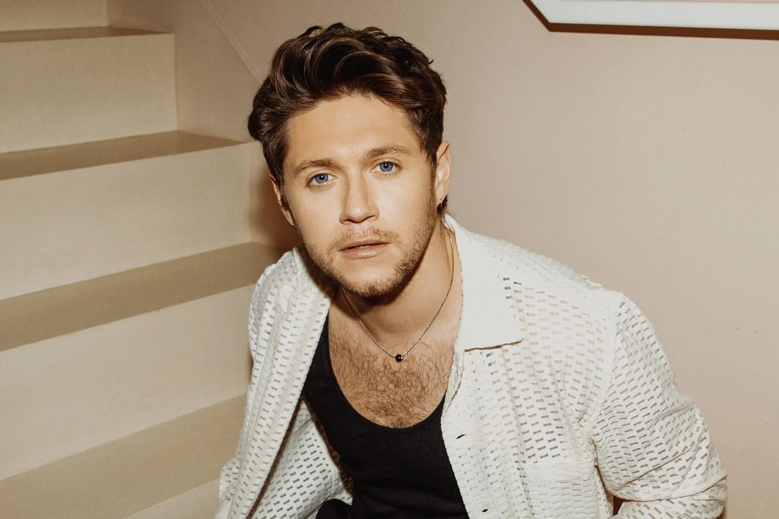 Niall Horan Net Worth