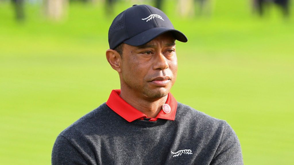 Tiger Woods Net Worth Tiger Woods Net Worth