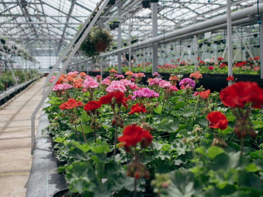 How to Make Your Hobby Farm a Profitable Business