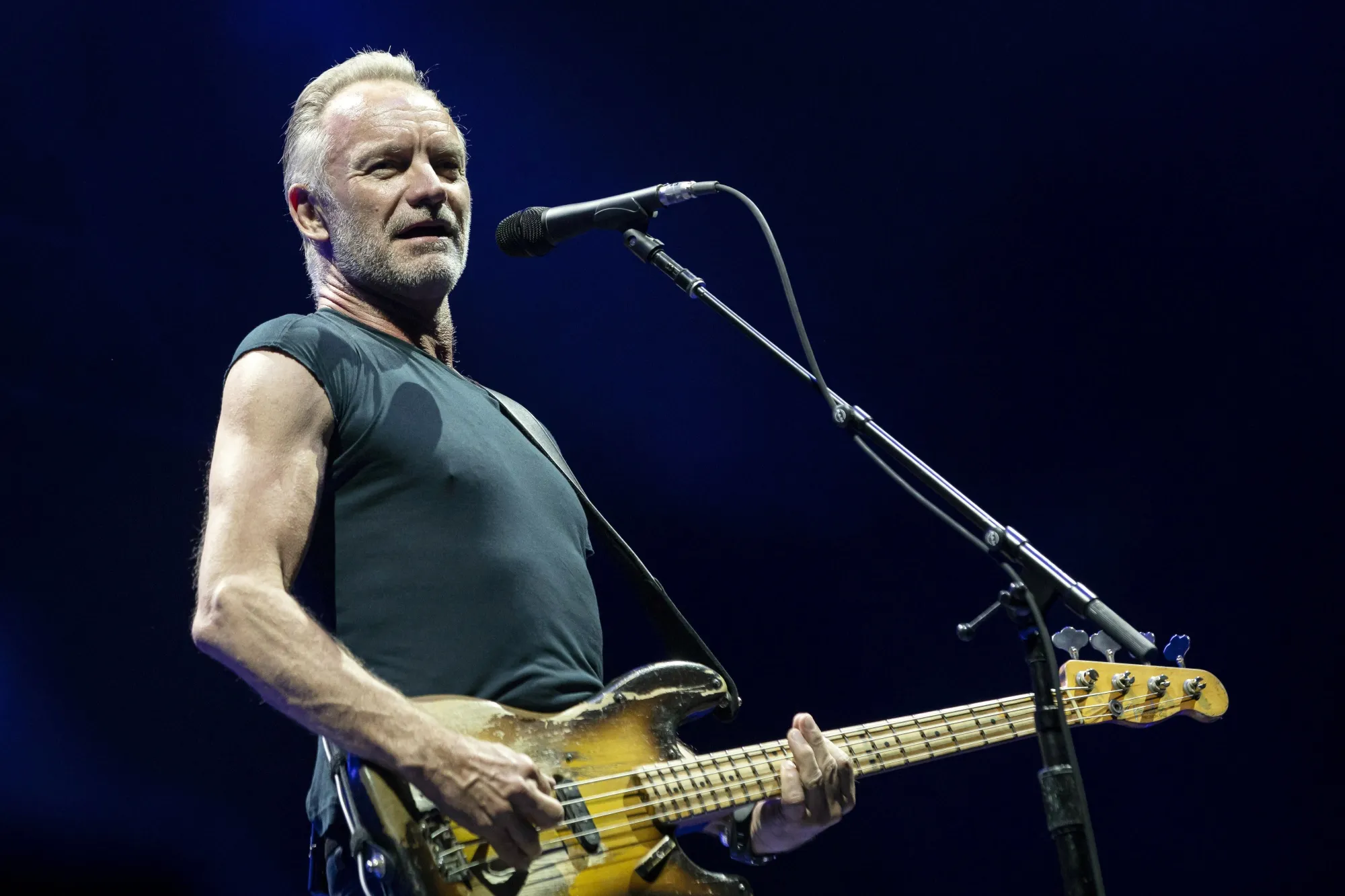 Sting Net Worth