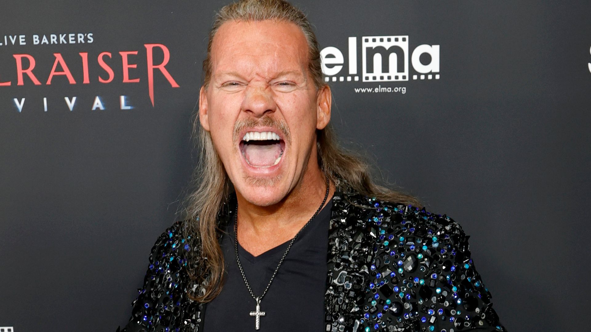 Chris Jericho Net Worth