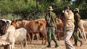Two bandits killed in foiled livestock raid in Isiolo