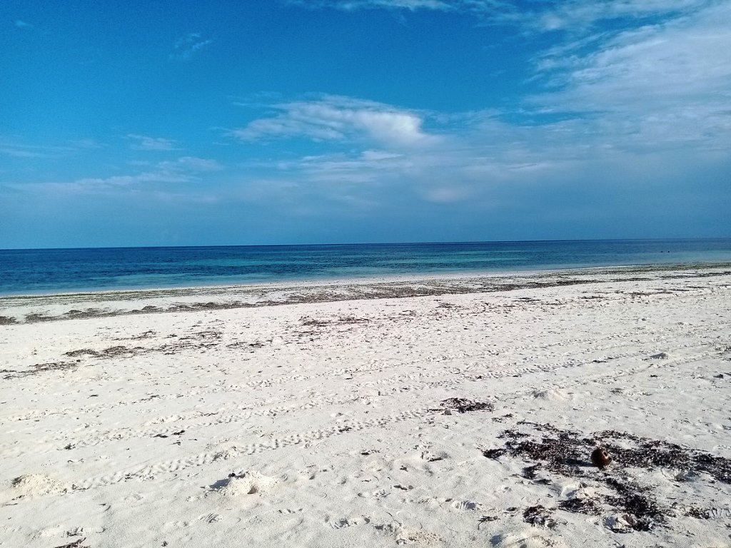 Body of elderly man found floating at Kilifi’s Bof