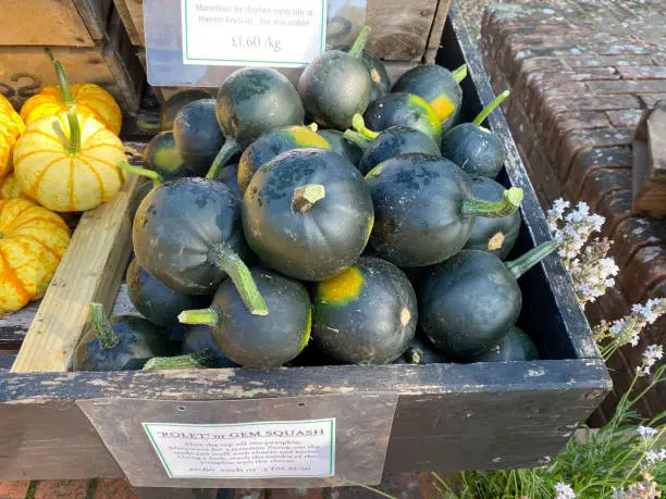 How Long to Cook Gem Squash How Long to Cook Gem Squash