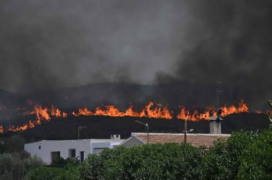 At least 12 dead and 23 missing in wildfire in southern Spain At least 12 dead and 23 missing in wildfire in southern Spain