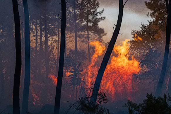 France orders evacuation of tourist spot as hundreds flee wildfires by boat France orders evacuation of tourist spot as hundreds flee wildfires by boat