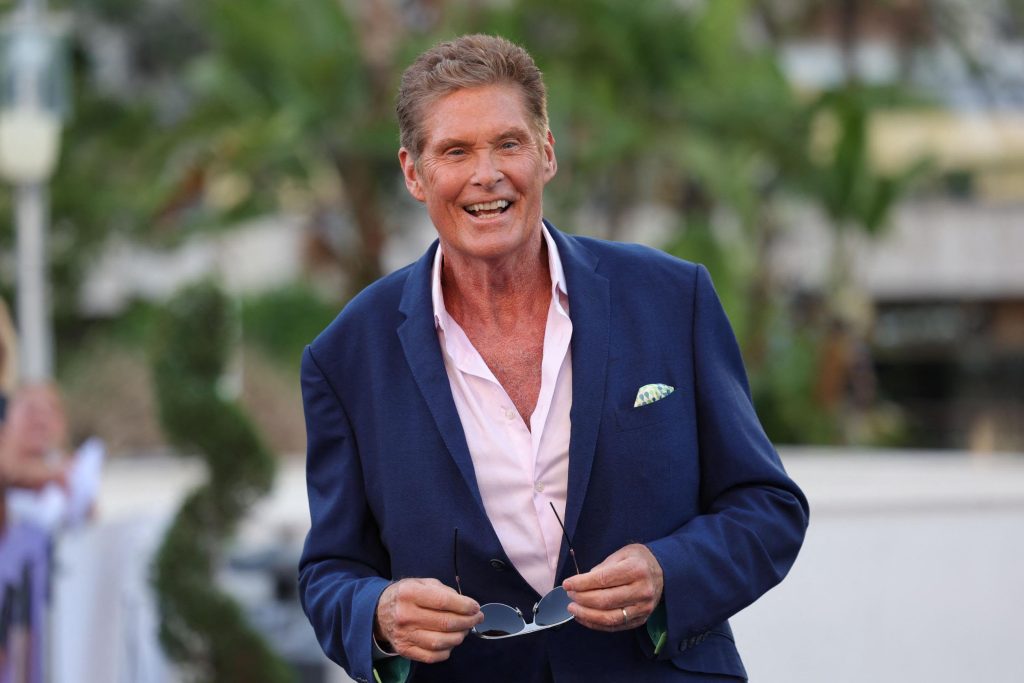 David Hasselhoff Net Worth David Hasselhoff Net Worth
