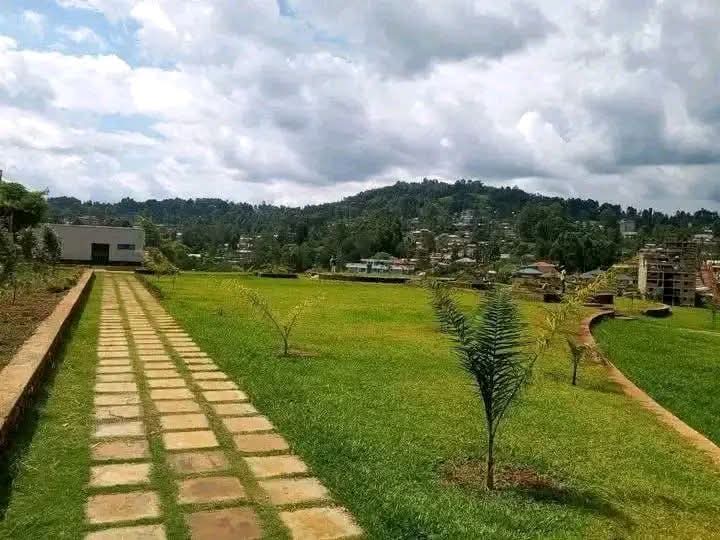 From garbage mountain to green haven: How Arati gave Kisii’s ugliest dump site a new life - Kahawatungu