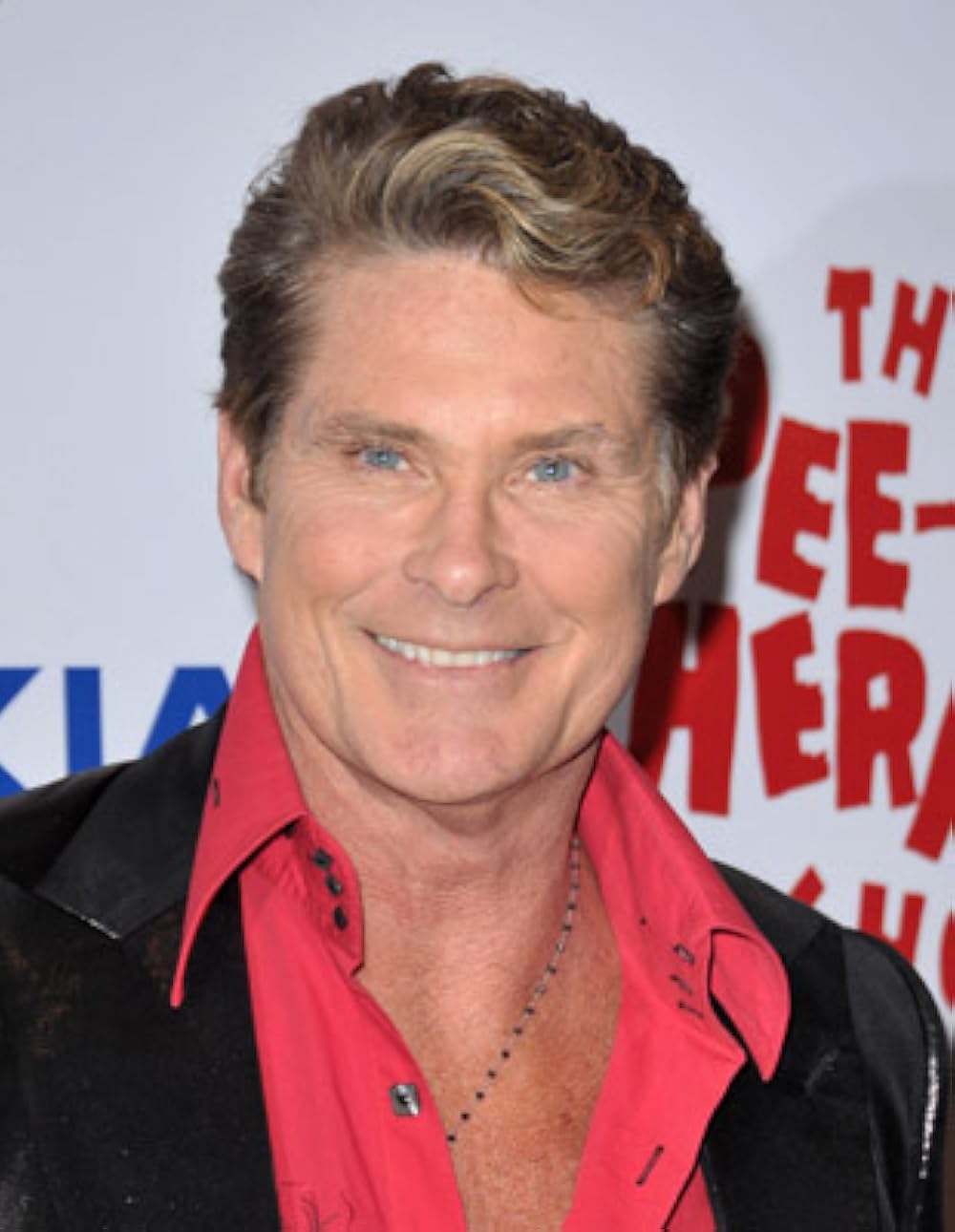 David Hasselhoff Net Worth