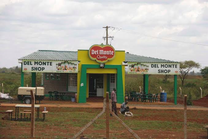 Protests after man shot dead at Del Monte Farm in Murang’a - Kahawatungu