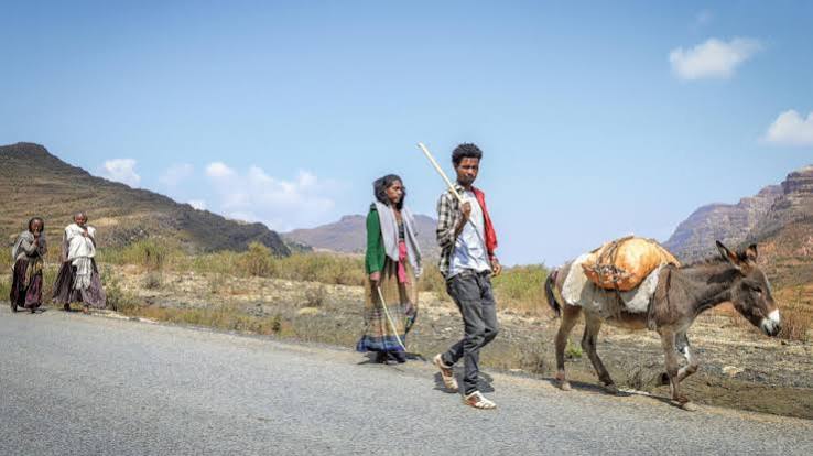 Hundreds flee fighting in northern Ethiopia as fears rise of return to civil war Hundreds flee fighting in northern Ethiopia as fears rise of return to civil war
