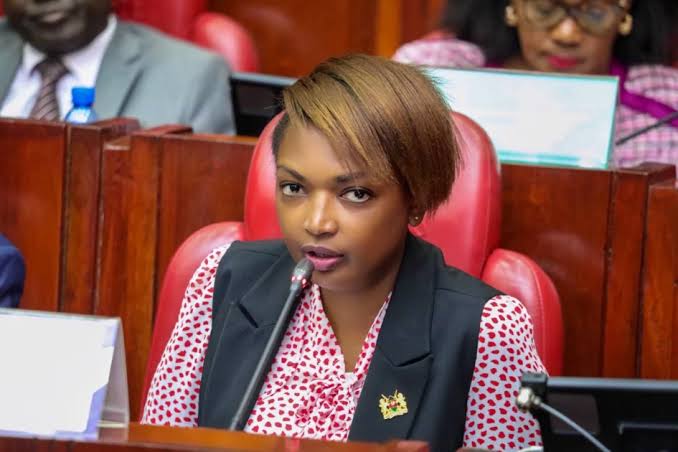 Nyamu raises alarm over alleged intimidation of UDA supporters in Mt Kenya Nominated Senator Karen Nyamu
