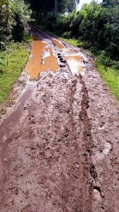Stalled Nyaribari Masaba roads in Kisii: A political time bomb ahead of the 2027 polls Stalled Nyaribari Masaba roads in Kisii