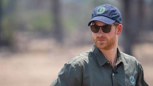 Prince Harry steps down from African wildlife charity board - Kahawatungu