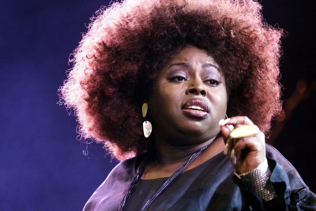 Angie Stone Net Worth Angie Stone Net Worth