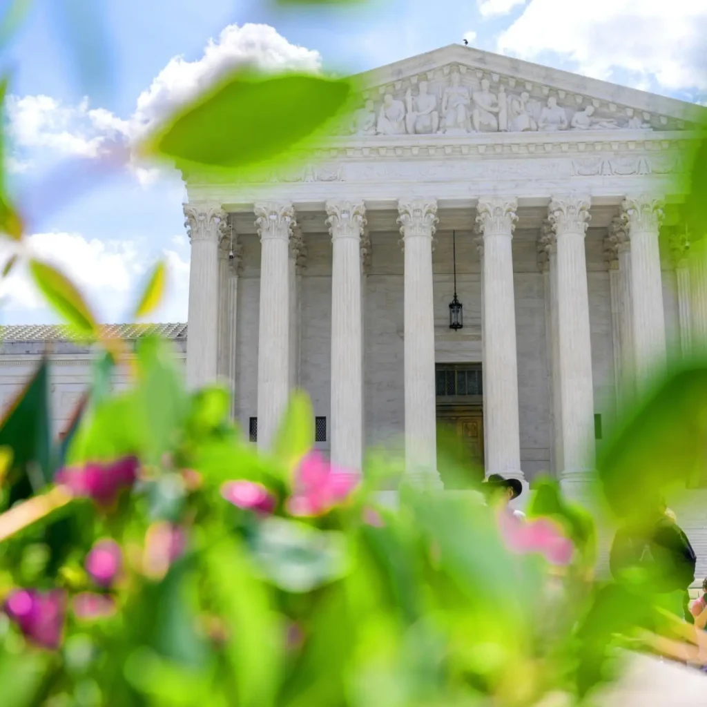 Supreme Court allows Trump to use controversial database to check voter citizenship Supreme Court allows Trump to use controversial database to check voter citizenship