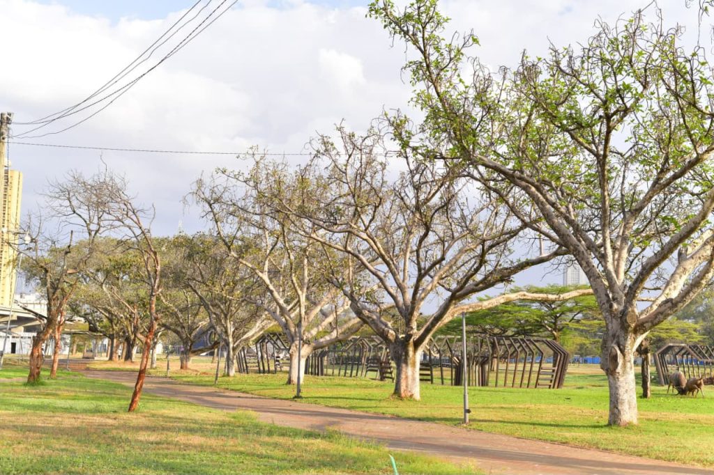 Central Park reopens as Nairobi restores a landmark to the people