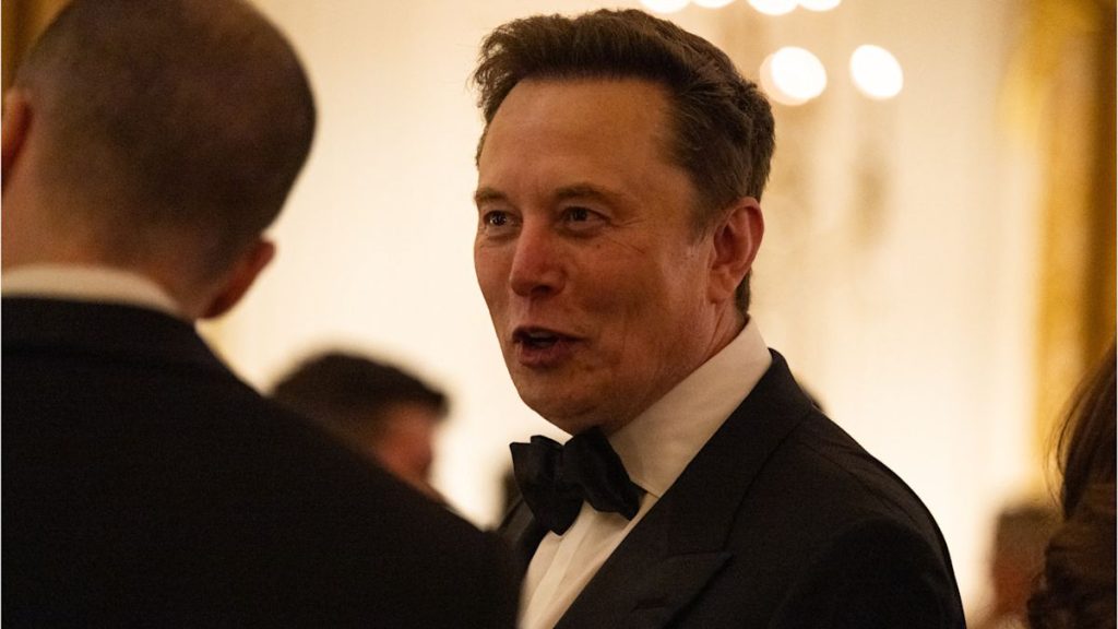 US backs Elon Musk's bid to overturn €120m EU fine against X