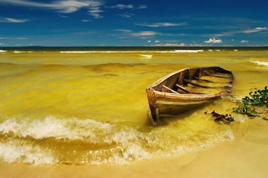 Fisherman drowns in Lake Victoria while fleeing beach patrol