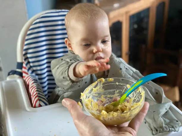 How to Introduce Hummus to Baby How to Introduce Hummus to Baby