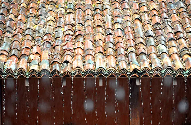 How to Maximize Rainy Season How Estates Can Prepare for Rainy Season How to Maximize Rainy Season