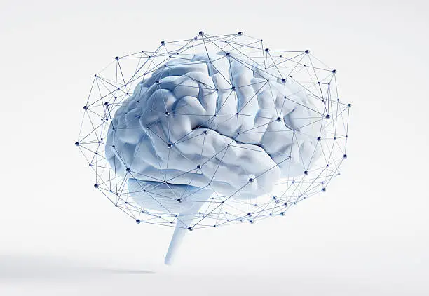 How to Improve Oxygen in the Brain How to Improve Oxygen in the Brain