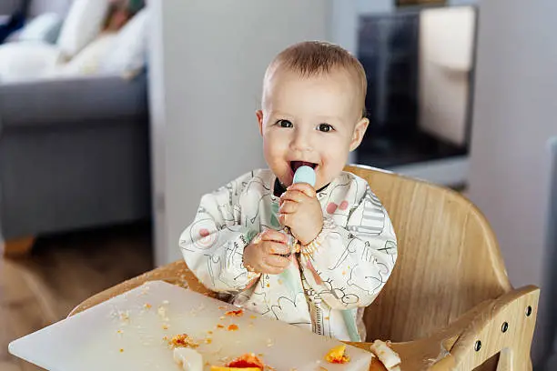 How to Introduce High Allergen Foods to Babies How to Introduce High Allergen Foods to Babies