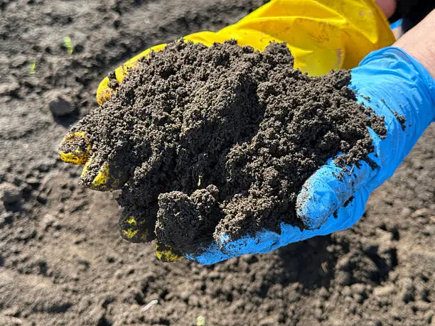 How to Improve Black Cotton Soil for Farming How to Improve Black Cotton Soil for Farming