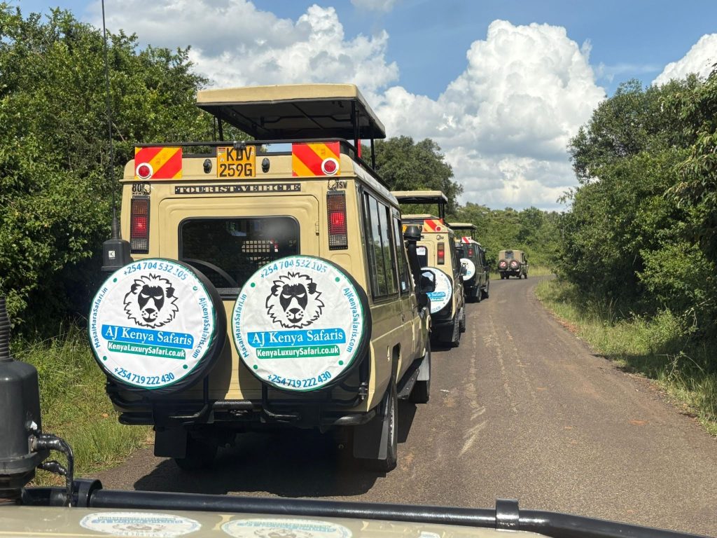 How to Pull Off the Ultimate Weekend Safari Escape