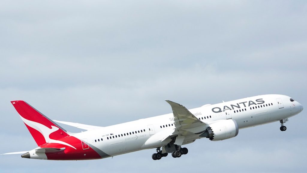 Qantas flight grounded after bedbug outbreak