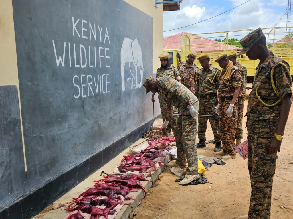 Two men sentenced to life imprisonment over wildlife trophies in Malindi Two men sentenced to life imprisonment over wildlife trophies in Malindi