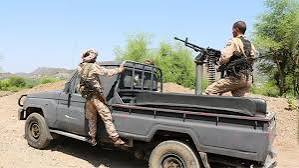 Yemen announces military campaign to reclaim land from Iran-backed Houthis Yemen announces military campaign to reclaim land from Iran-backed Houthis